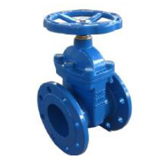 Resilient Seated Gate Valves NRS Flanged Ends F4 F5 BS5163
