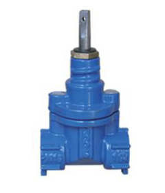 Resilient Seated Gate Valves Screwed Ends